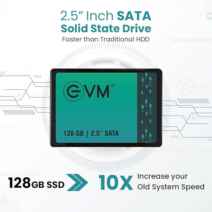 EVM 128GB 2.5-Inch SATA Internal SSD - 550MB/s Read & 500MB/s Write - 5-Year Warranty (EVM25/128GB)