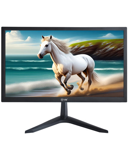 EVM LED Monitor 20" HD with HDMI