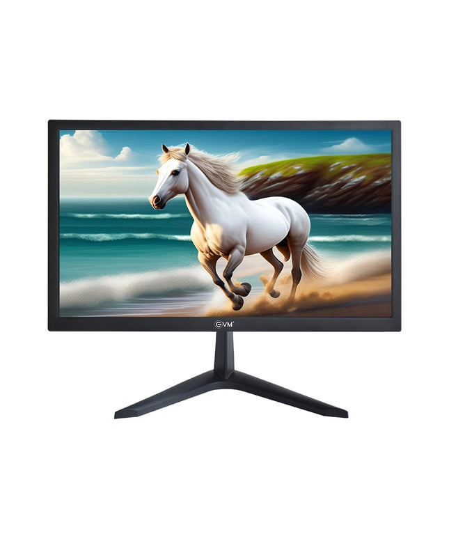 EVM LED Monitor 20" HD with HDMI