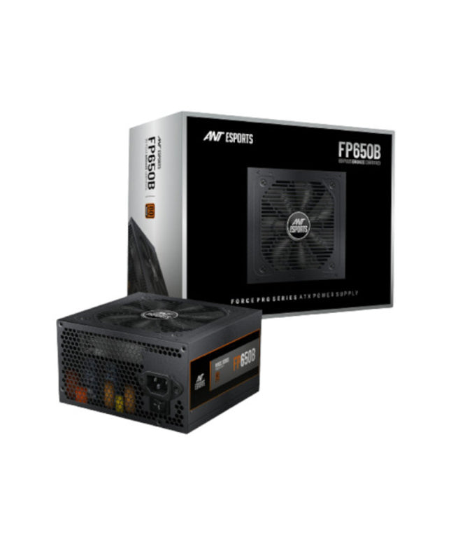 nt Esports FP650B 650W 80 Plus Bronze SMPS